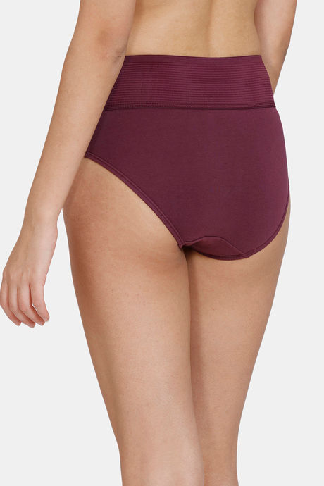 Zivame Anti-Microbial High Rise Full Coverage Tummy Tucker Hipster Panty (Pack of 2) - Multicolor — image 7